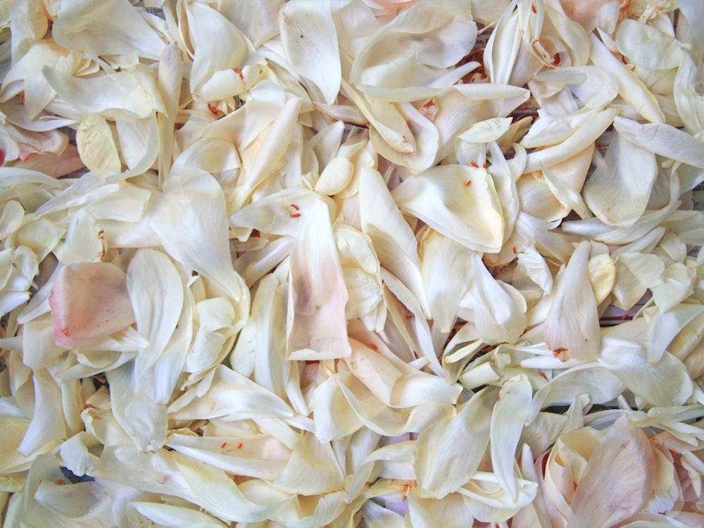 Onion & Garlic Flakes